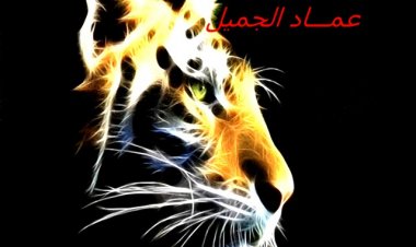 حصرى على مجموعة المستقبل فلاشة TIGERAG H1_PLUS