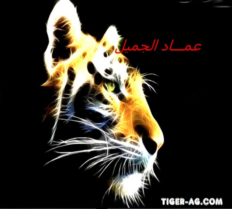 حصرى على مجموعة المستقبل فلاشة TIGERAG H1_PLUS