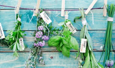 الأعشاب الطبيعية للجسم