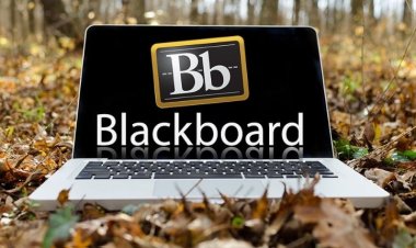 بلاك بورد ام القرى