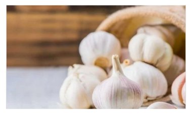 أضرار حبوب الثوم على الريق