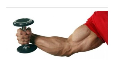 كيف تقوي عضلات اليد