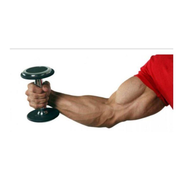 كيف تقوي عضلات اليد