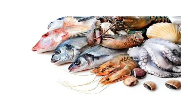 فوائد اكل سمك الانوم